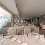 酒店 白色天使酒店 4*
